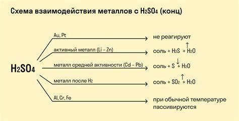 Важность и практическая значимость изучения реакции металлов с кислотами