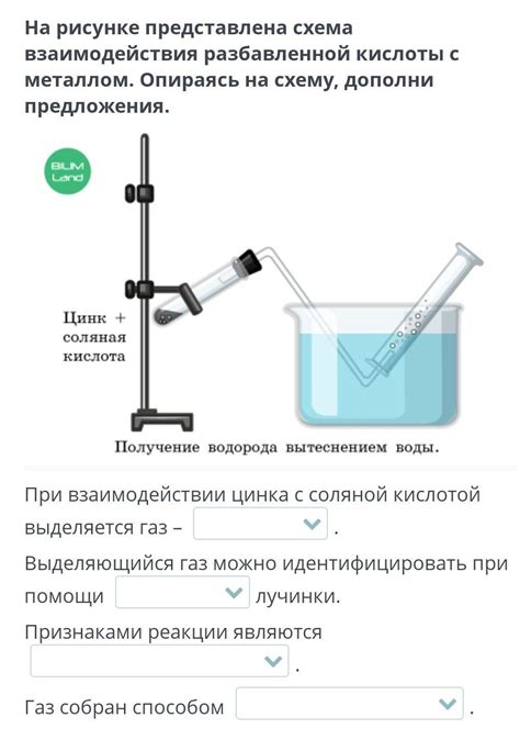 Важность понимания взаимодействия соляной кислоты с металлами