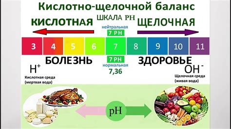 Влияние кислотности и щелочности на коррозию