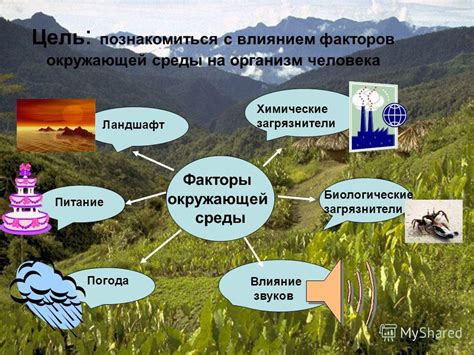 Влияние оксидов металлов оранжевого цвета на здоровье человека и животных