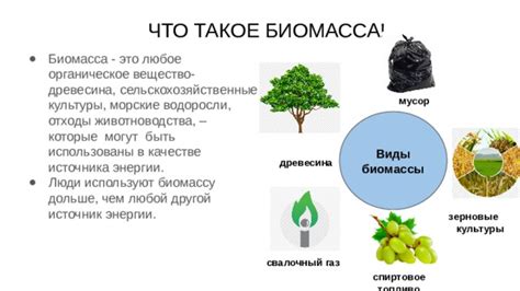 Древесина: биомасса среди природных источников энергии