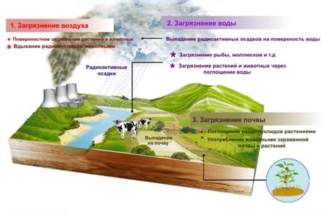 Источники поступления тяжелых металлов в окружающую среду