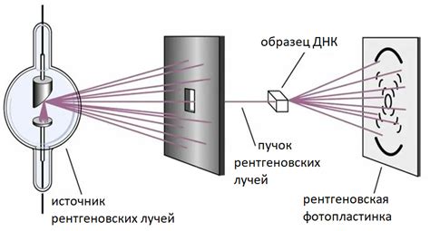 Метод рентгеноструктурного анализа