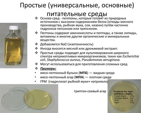 Органические агрессивные среды для металлов