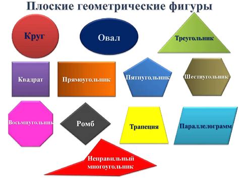 Полигональные фигуры: виды и характеристики