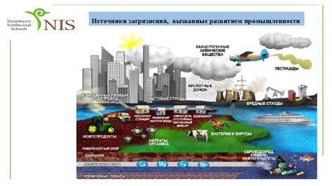 Последствия нахождения металлов в окружающей среде