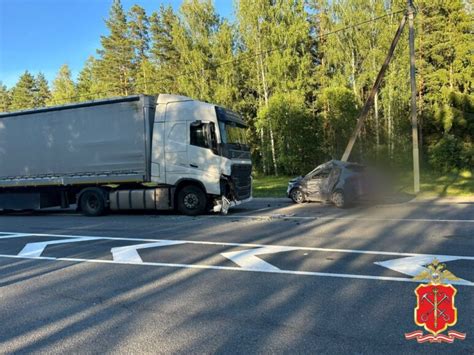 Преимущества работы с пилорамой в Лужском районе