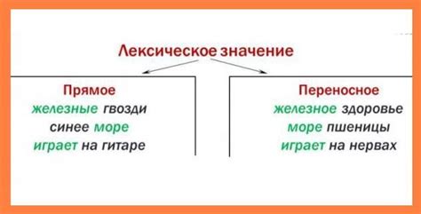 Проба: определение и значение