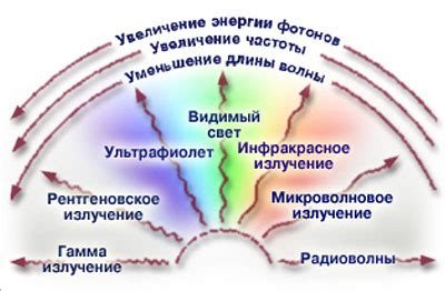 Радий: радиактивность и эффекты на организмы