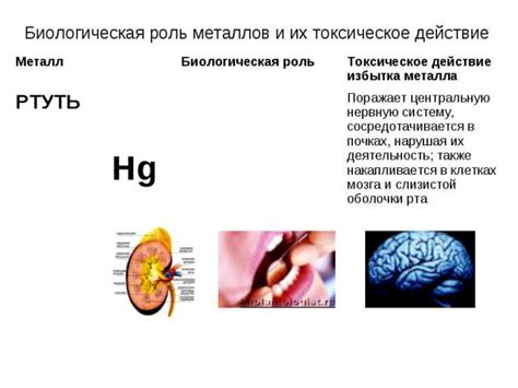 Роли металлов в организме