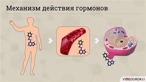 Роль щелочных металлов в обмене веществ