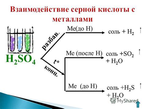 Смысл слов "стойкость", "металл" и "серная кислота"