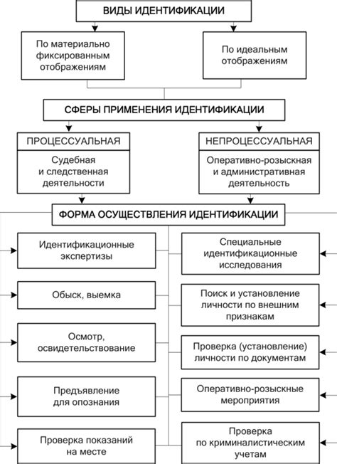 Сферы применения 995 пробы и ее преимущества