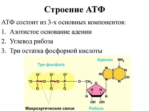 АТФ 3: ключевые особенности
