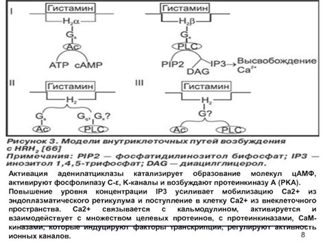 Активация молекул