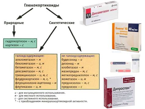 Активные ингредиенты и механизм действия препаратов