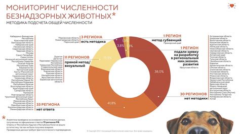Актуальная статистика и данные по бездомным и приютским домашним животным