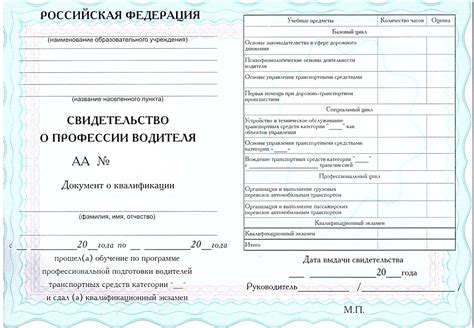 Актуальность повторного обучения в автошколе