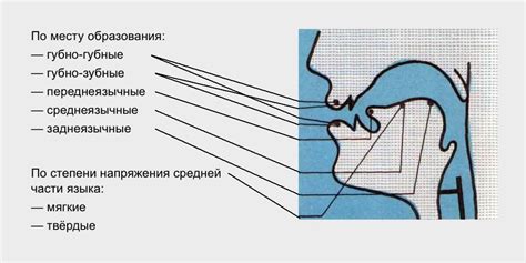 Акустическое отражение звуков в системе русского языка