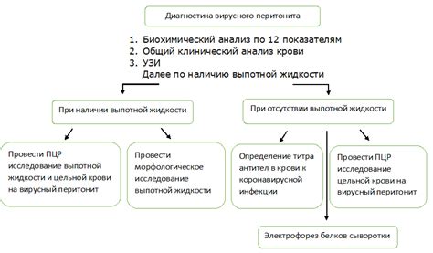 Алгоритм вирусного распространения