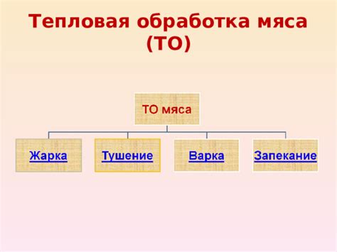 Альтернативные способы безопасной обработки мяса: использование соли, лимонного сока и уксуса