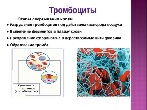 Альтернативные способы улучшения состояния при язвенном повреждении под слоем фибрина