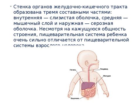 Альтернативные способы улучшения функционирования пищеварительной системы у детей