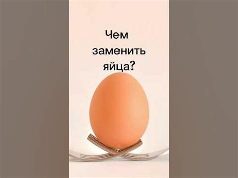 Альтернативы в поездном питании