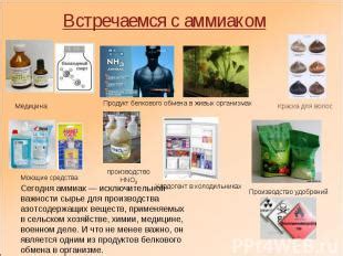 Аммиак как продукт обмена веществ