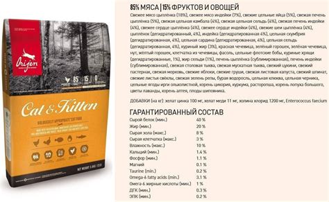 Анализ аргументов противников сухого корма: осмысленный обзор