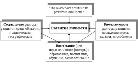 Анализ влияния окружающей среды на формирование личности