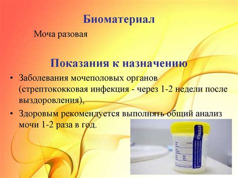 Анализ мочи и крови для оценки общего функционирования мочевой системы