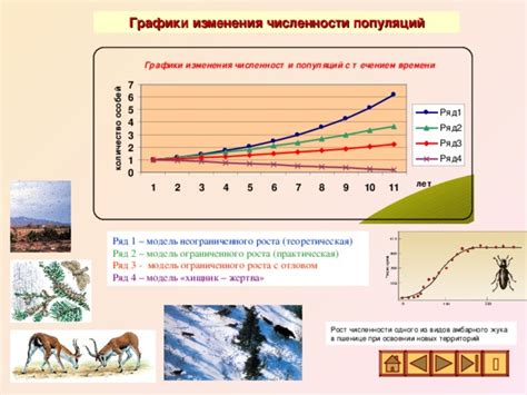 Анализ численности кружков и палочек