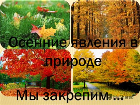 Аномальные явления в природе и их воздействие на осенние оттенки
