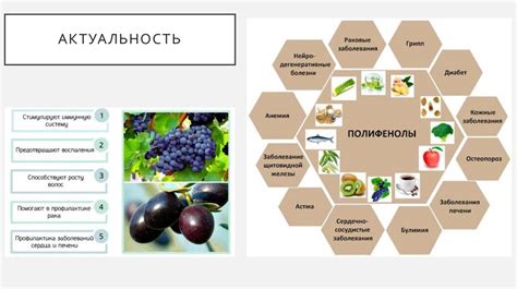 Антиоксидантные свойства персика