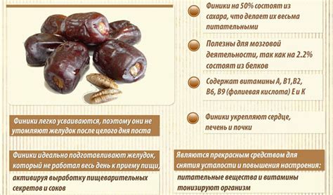 Антиоксидантные свойства фиников и их роль в защите желудочно-кишечного тракта от повреждений