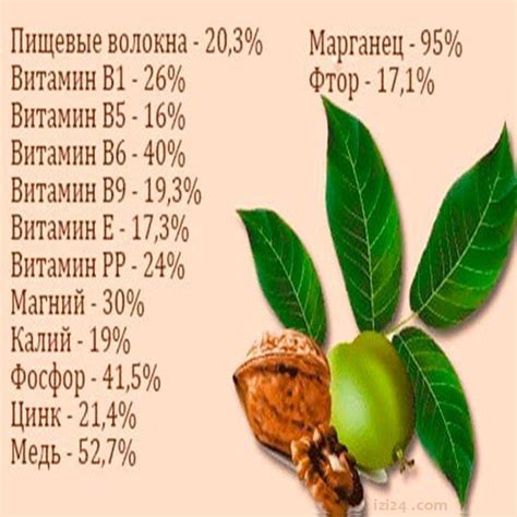 Антиоксиданты в грецких орехах и их роль