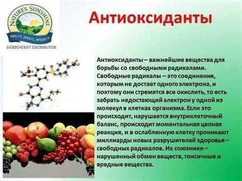 Антиоксиданты и их влияние