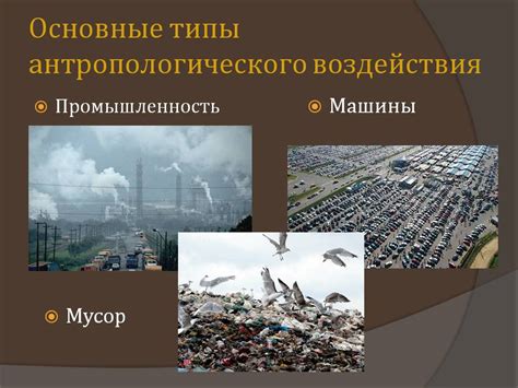Антропогенное воздействие на природу и животный мир