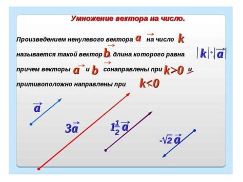 Аргументы в пользу и против умножения нулевого вектора на ноль