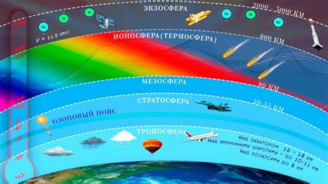 Атмосфера с персиковым котом