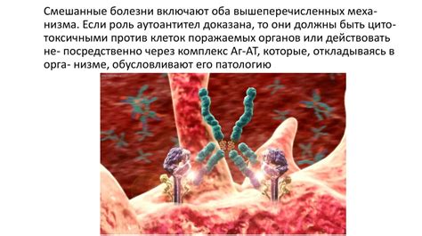 Аутоиммунные реакции организма