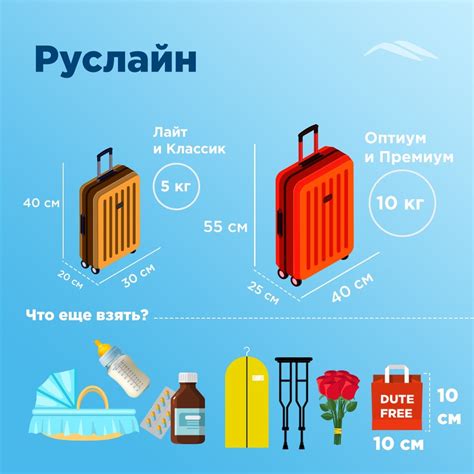 Багаж и ручная кладь: разница