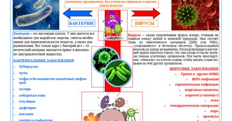 Бактериальная и вирусная инфекции