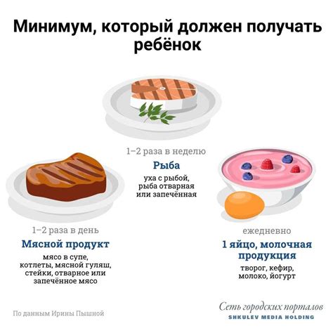 Балансирование рациона: как выбирать корма для сбалансированного питания