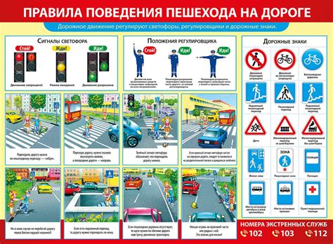 Безопасность на дороге: первая помощь для водителя