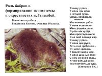 Биологическая роль бобров