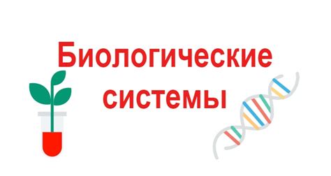 Биологические признаки возникновения новой жизни