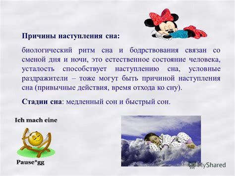 Биологический ритм сна и бодрствования: естественная гармония организма