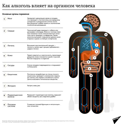 Биологическое воздействие соды на организм человека